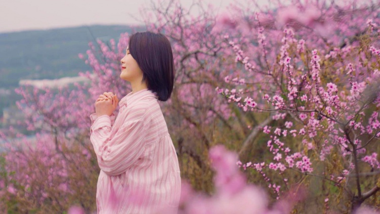 心动季节