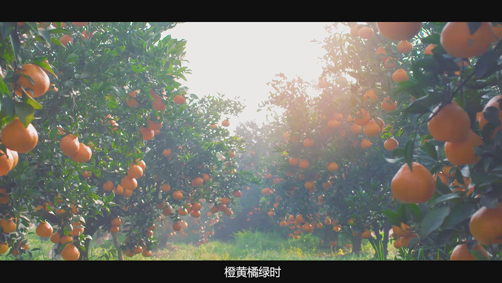 心动季节