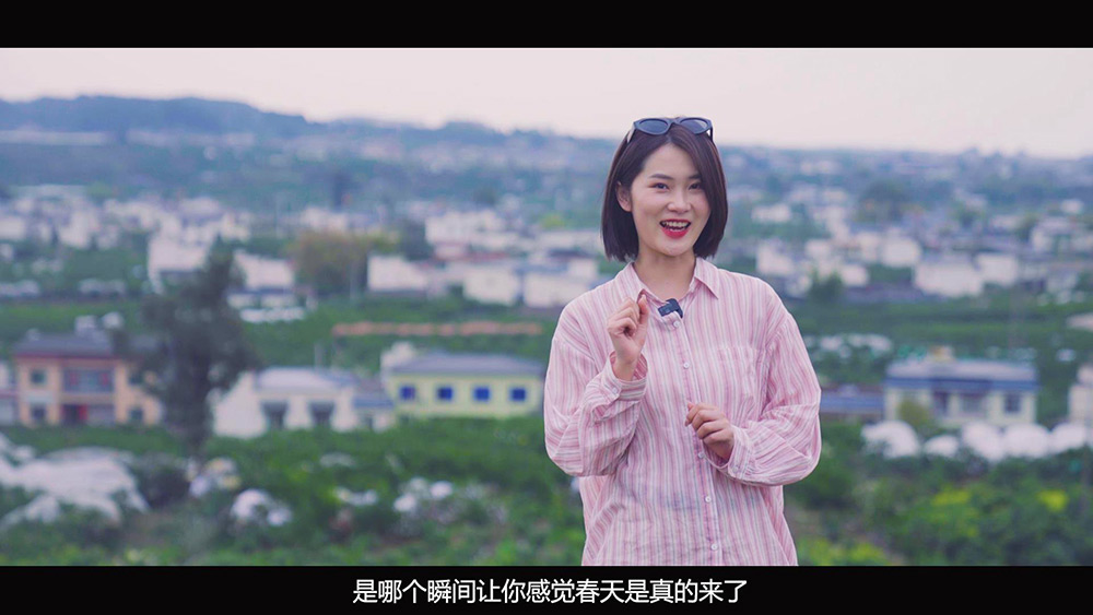 心动季节