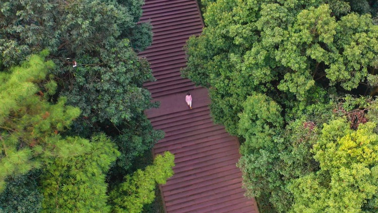 逃离城市