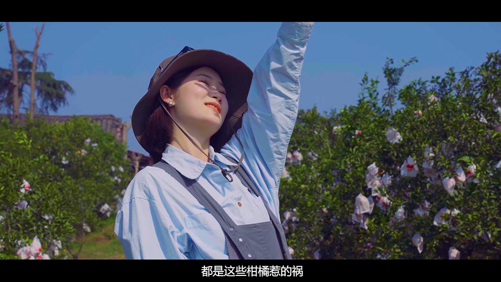 逃离城市