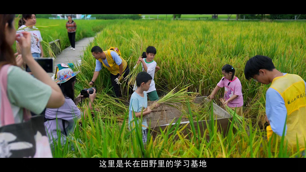 稻香渔歌宣传片