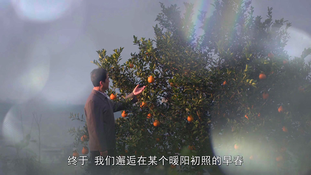丹棱桔橙品牌宣传片