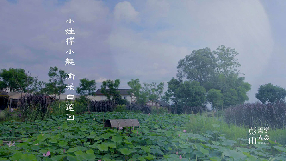 彭山美学大赛短视频