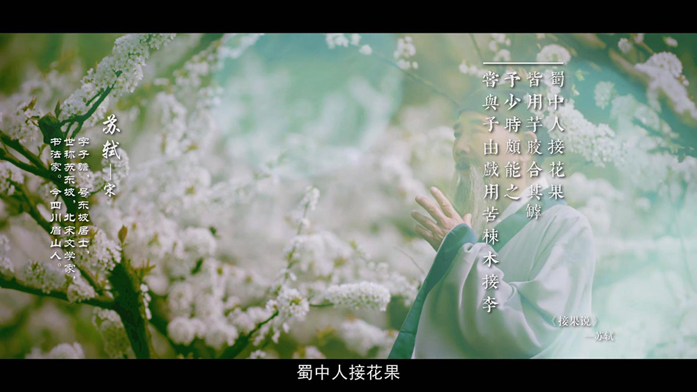 千李之路始于行