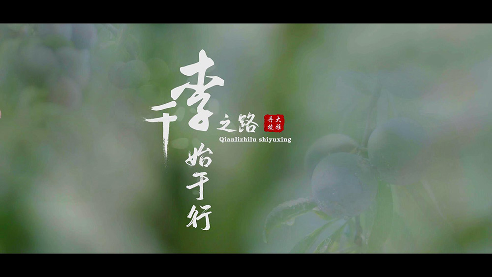 千李之路始于行