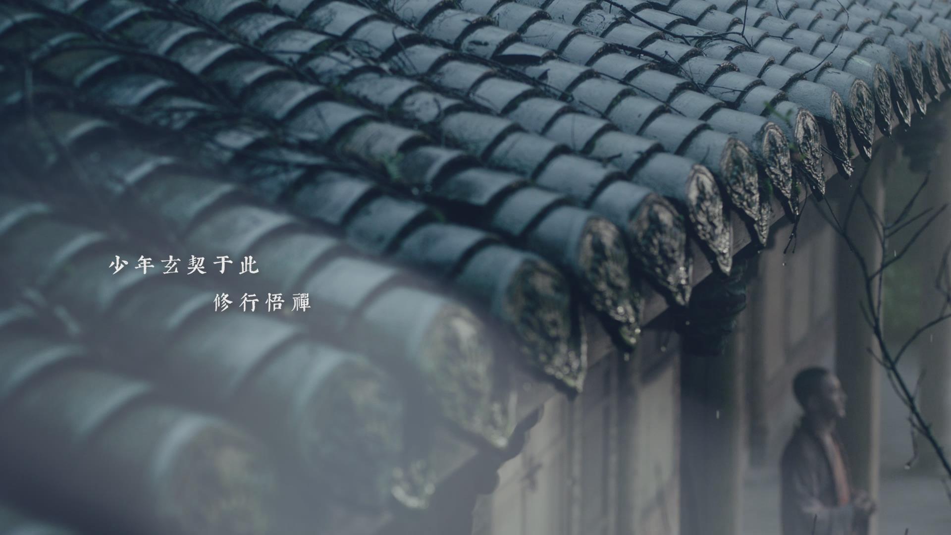 武阳文化先导片