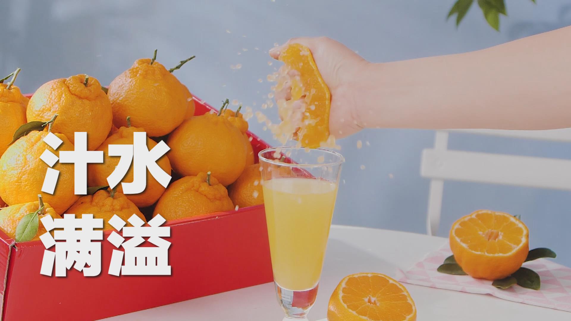 丹棱不知火 北纬30度的味觉奇迹