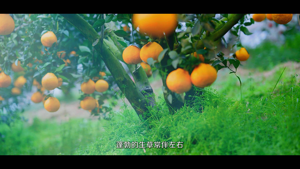 好吃不上火 越吃越红火