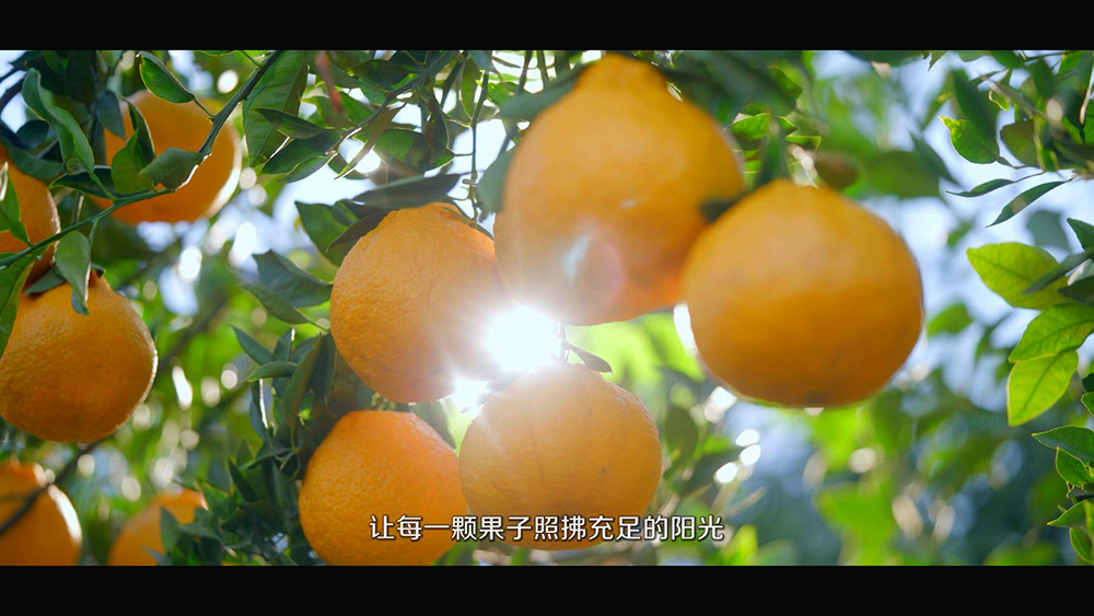 好吃不上火 越吃越红火